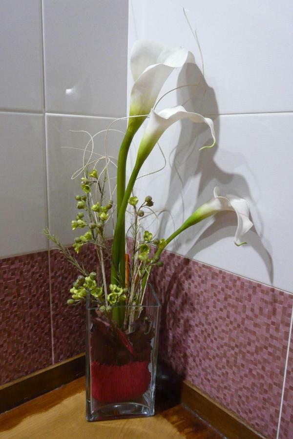 Apartamentos La Condesa Valmeo Dış mekan fotoğraf